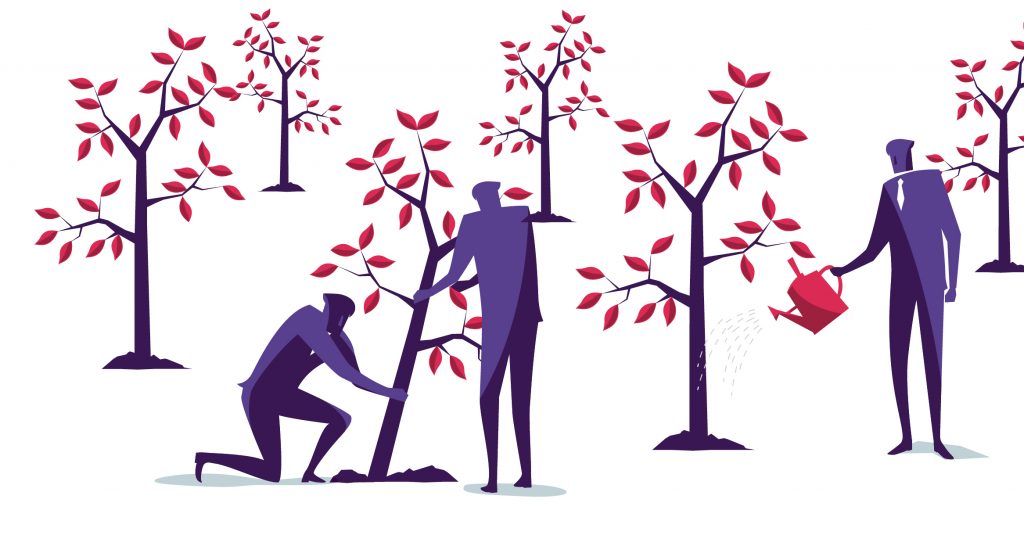 tree,forest,business,growth,impact,forest restoration
